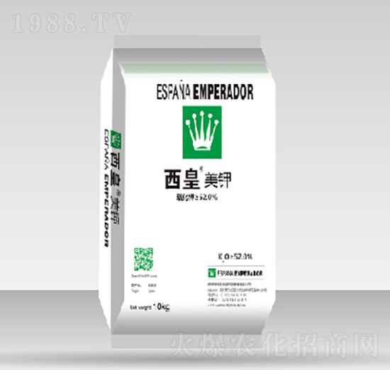 �������-����˹�D