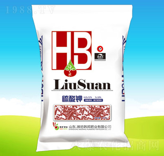 �����-�n��ʘI(y��)