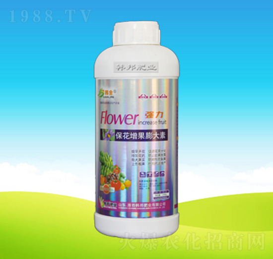 �������������-�n��ʘI(y��)