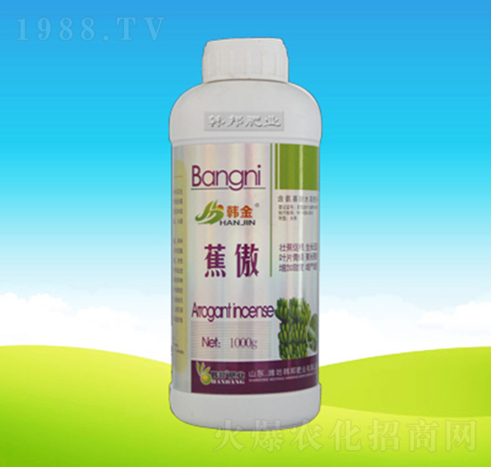 ����-�n��ʘI(y��)