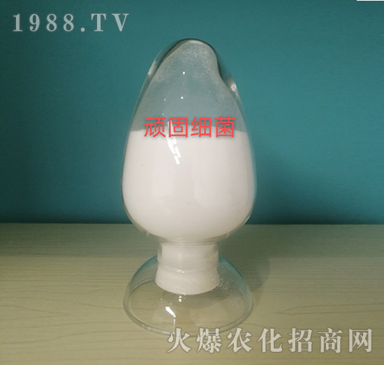 �B�̼�(x��)������ԭ��-���o��(c��)�r(n��ng)�I(y��)