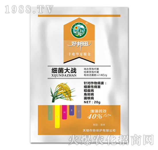 �������(zh��n)-�ð���-��T����