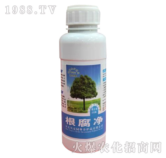 ������-�ӱ��P��