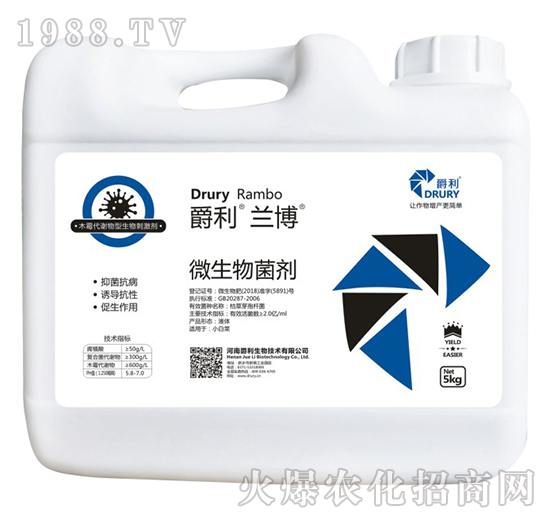 ΢�������-�����m��-����