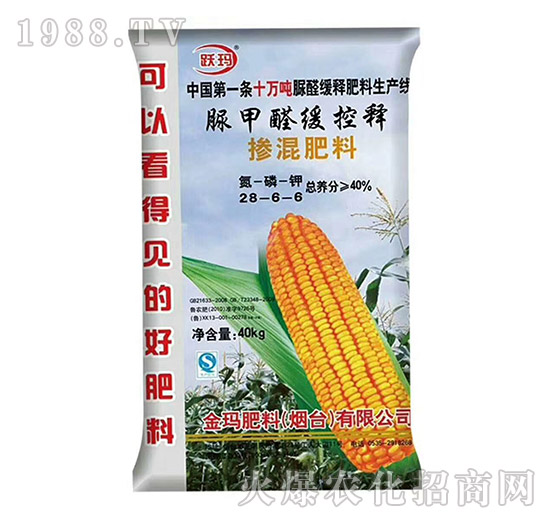 ���ȩ����ጓ������28-6-6-�S��-��