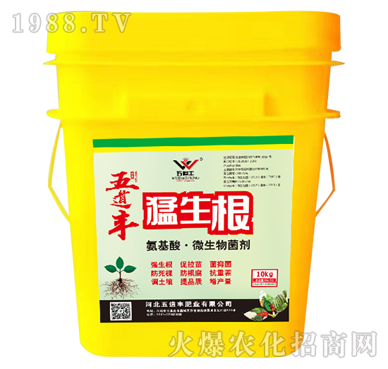 �����ᡤ΢�������-������-����S