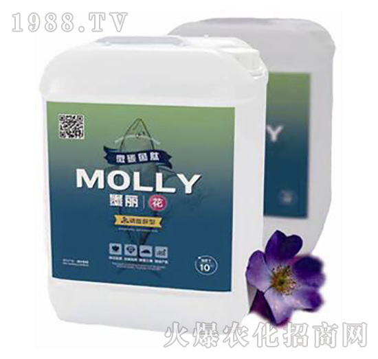 ī����-����