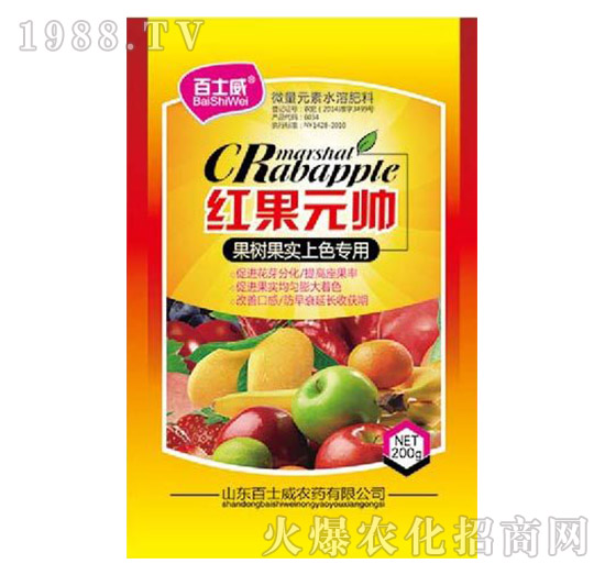 �t��Ԫ��-��ʿ��