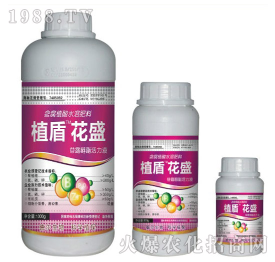 ��ʢ-ֲ��-��?t��ng)����? style=