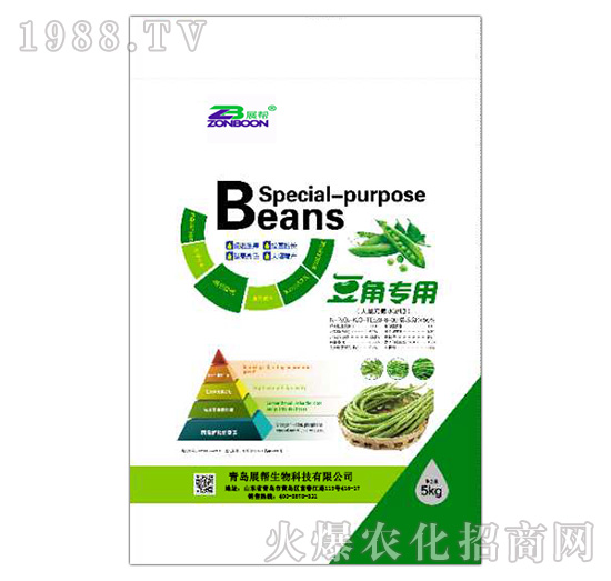 ���ǌ���-չ������