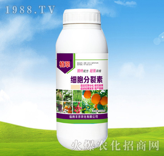1000ml-ֲ-Sr(nng)r(nng)