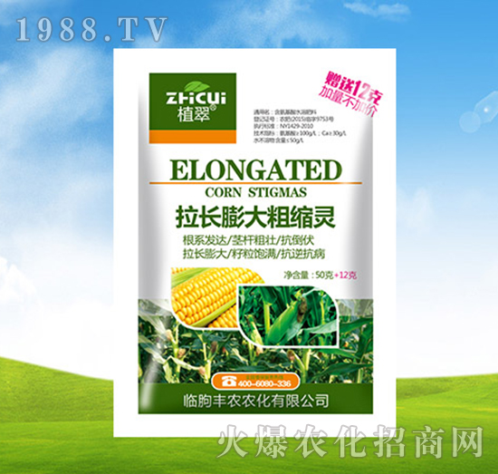 ���L(zh��ng)���ֿs�`-ֲ��-�S�r(n��ng)�r(n��ng)��