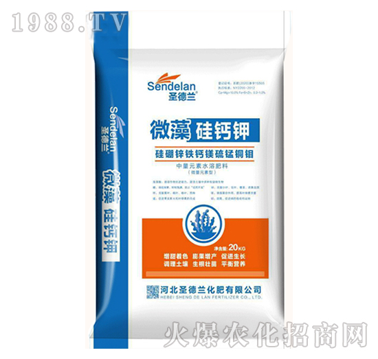 ΢����}�-ʥ���m