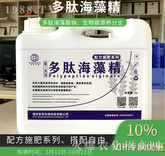 ���ĺ��徫-��������