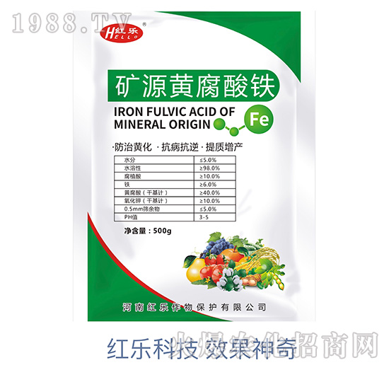 �VԴ�S�����F-�t��(l��)