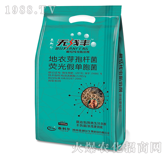 ����ѿ�ߗU�����ɹ�ΰ��U��-�o���S-̩����