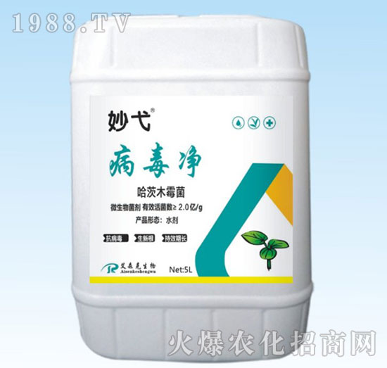 ����ľù��-������-���-��(��i)ɭ��