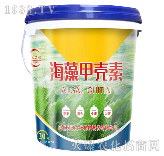 ����ך���-�֠�٥-�֠���