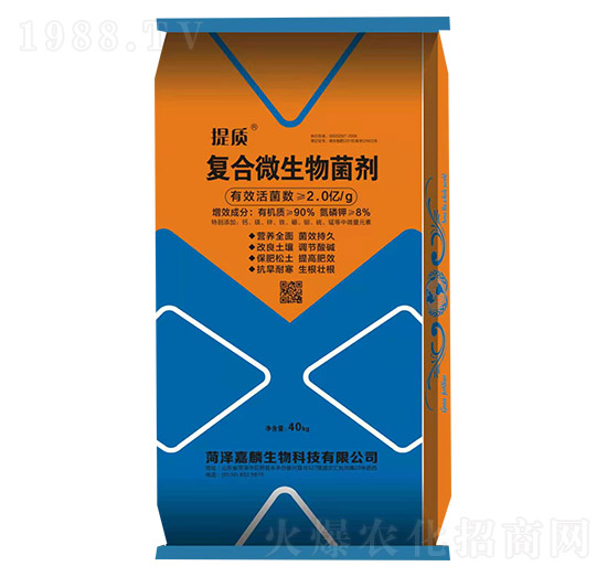 �ͺ�΢�������-����