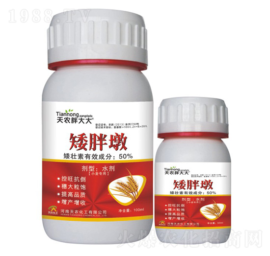 С������-���ֶ�-���r(n��ng)�ִ��-���r(n��ng)����