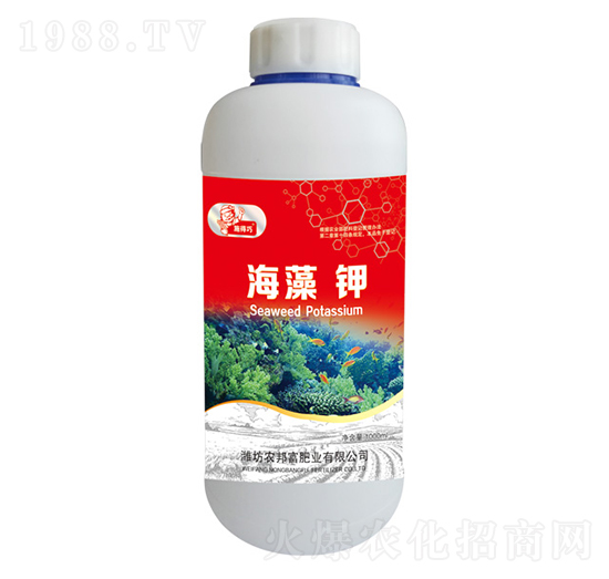 �����-�r(n��ng)�