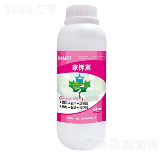 ��⛸�-�ŷ���