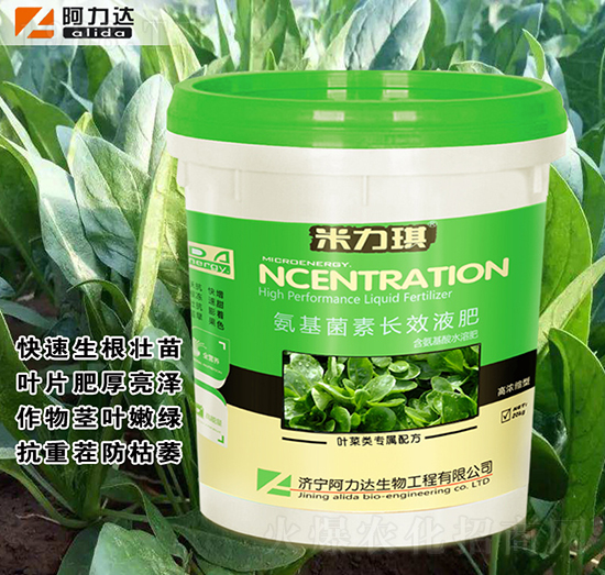 葉菜類(lèi)專(zhuān)用氨基菌素長(zhǎng)效液肥-米力琪-阿力達(dá)生物