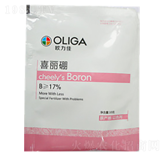 ϲ����-�W����