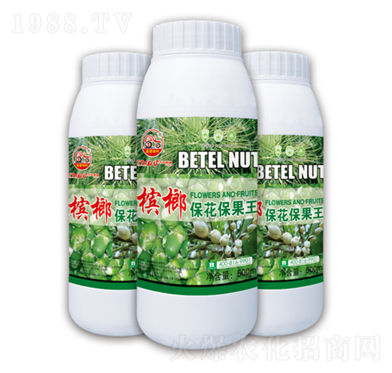 檳榔?；ㄗo果王-盛田生物