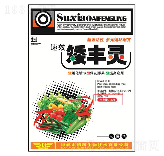 ���S�`-��������