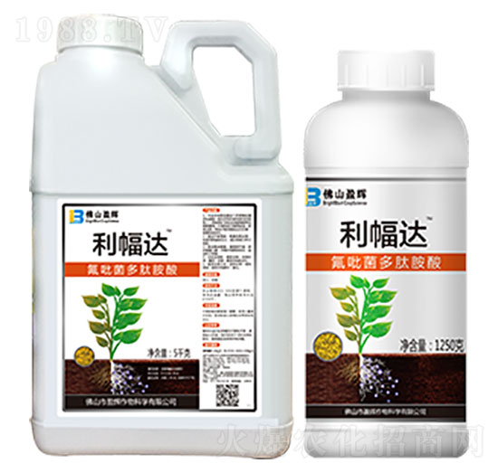 �����_-ӯ�x