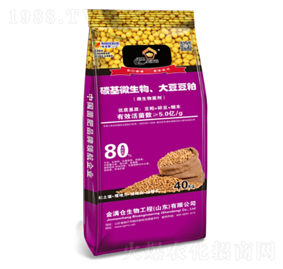 ̼��΢�������󶹶���-��M�}