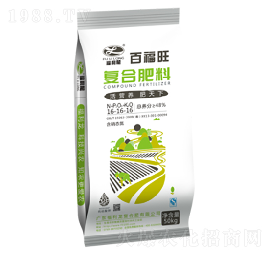 ��(f��)�����16-16-16-�ٸ���-������