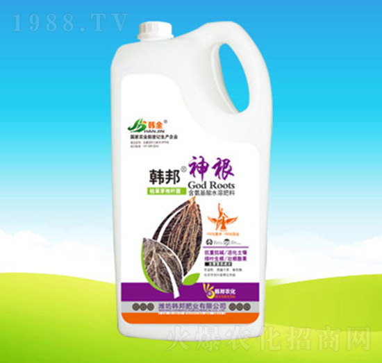 �n�����-�n��ʘI(y��)