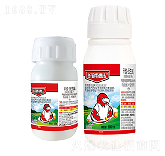 16%�׾S�����x��-����������-����������