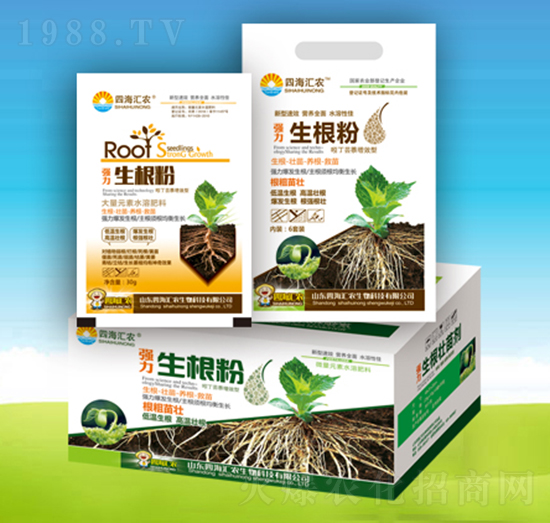 ����������-�ĺ��R�r