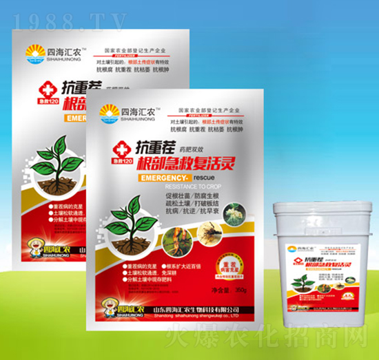 ���ز�������ȏ�(f��)���`-�ĺ��R�r(n��ng)