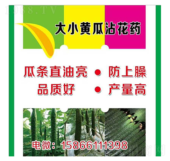 ����С�S��պ��ˎ-�����r(n��ng)�I(y��)