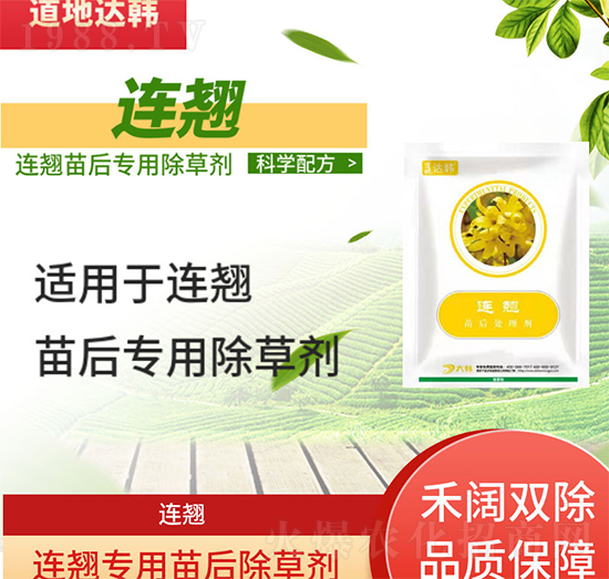 連翹除草劑-連翹苗后-連翹專(zhuān)用-大韓