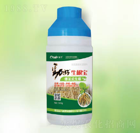 ������-�|����(r��n)��