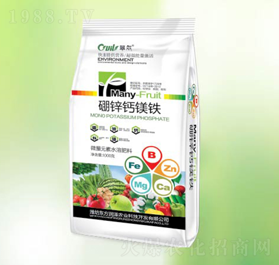 ���\�}�V�F-�|������