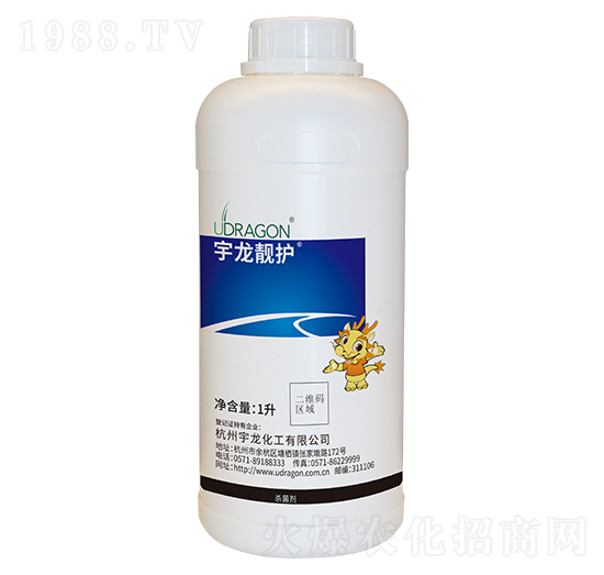 ���ס�������-�����n�o-��������