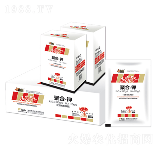 �ۺ�⛣��У�-̩�_�r��