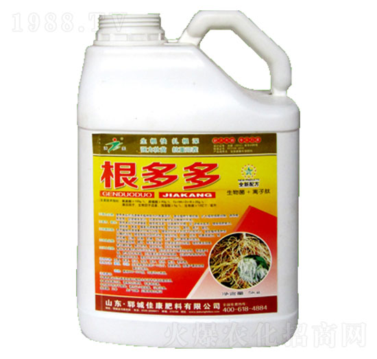 �����-�ѿ�