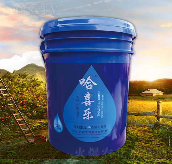 ̼ø������-��ϲ��-�r(n��ng)��