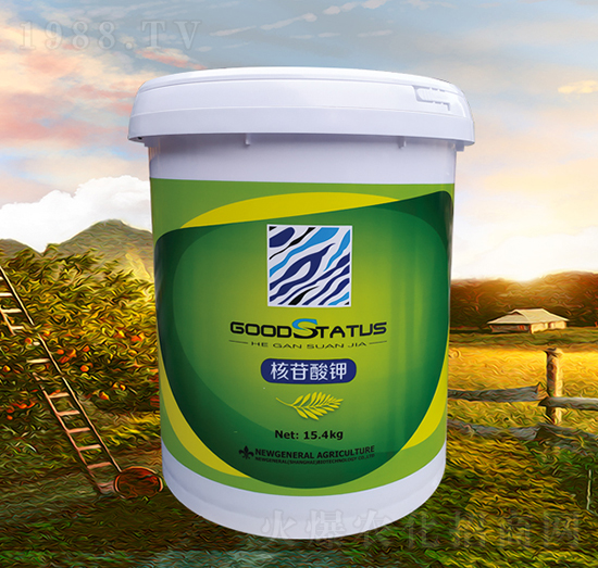 �������-�à�B(t��i)-�r(n��ng)��