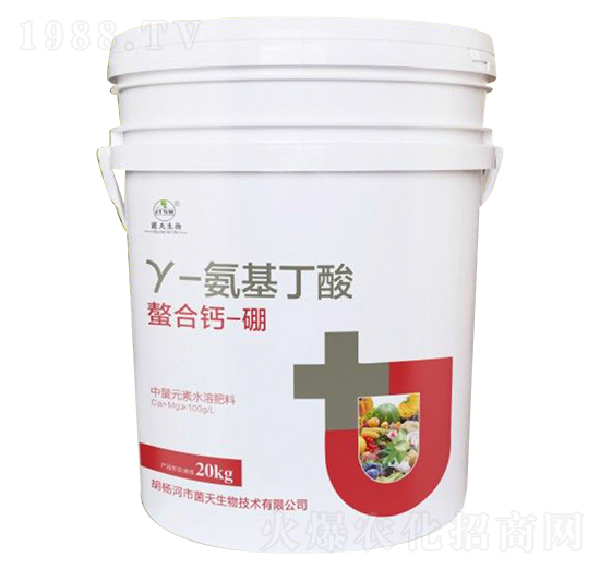 Y-�������������}-��-��������