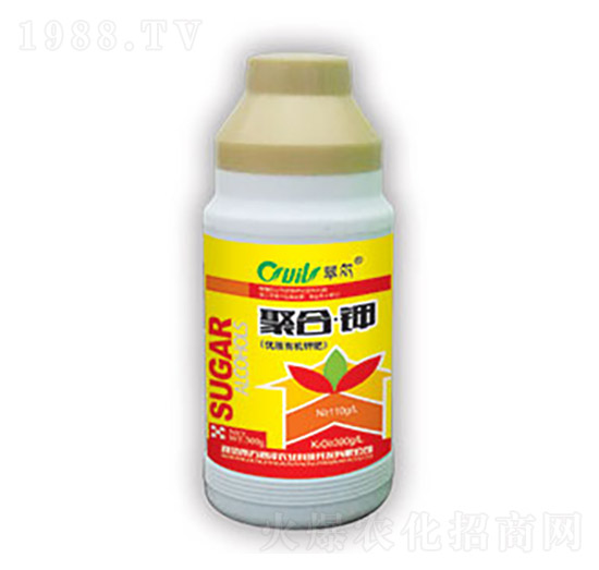 �ۺϡ��-�|������