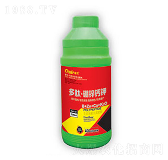 ���ġ����\�}�-�|������