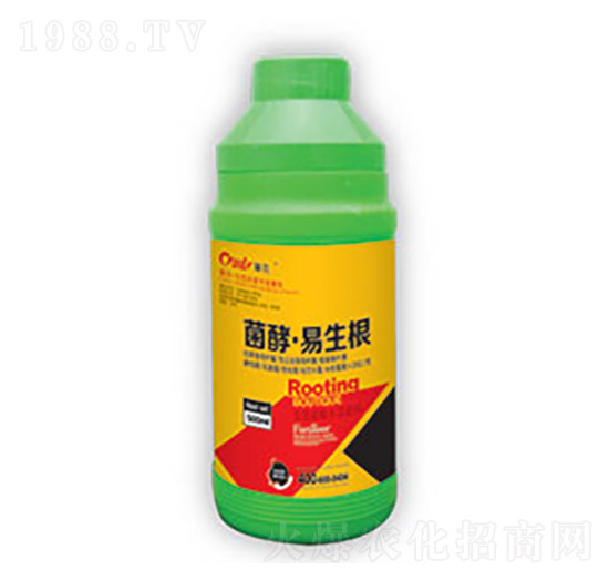 ���͡�������-�|������